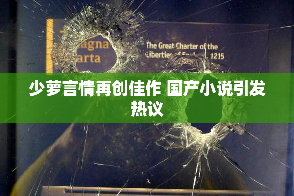 少萝言情再创佳作 国产小说引发热议