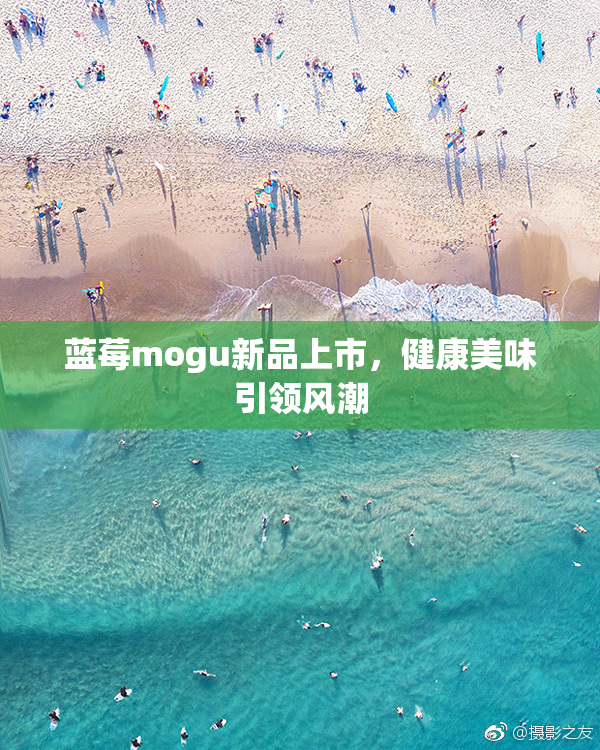 蓝莓mogu新品上市，健康美味引领风潮