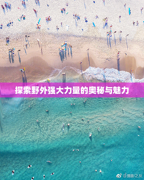 探索野外强大力量的奥秘与魅力