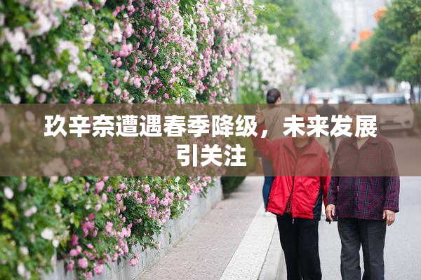 玖辛奈遭遇春季降级，未来发展引关注
