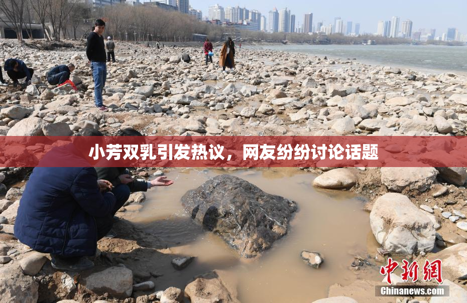 小芳双乳引发热议，网友纷纷讨论话题