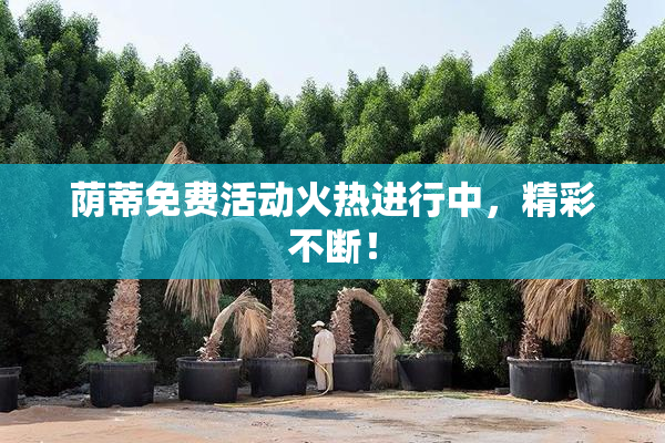 荫蒂免费活动火热进行中，精彩不断！