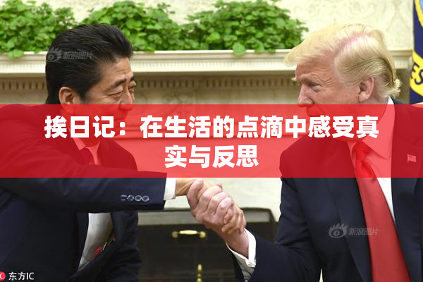挨日记：在生活的点滴中感受真实与反思