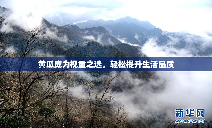 黄瓜成为视重之选，轻松提升生活品质