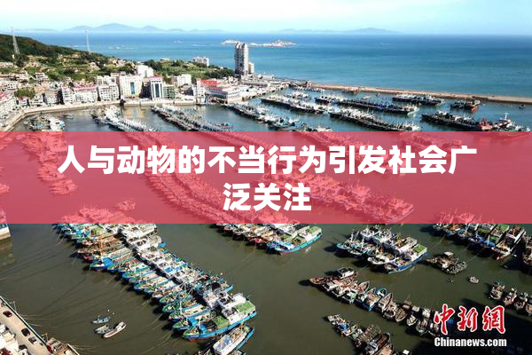 人与动物的不当行为引发社会广泛关注