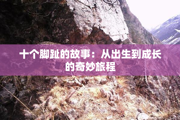 十个脚趾的故事：从出生到成长的奇妙旅程
