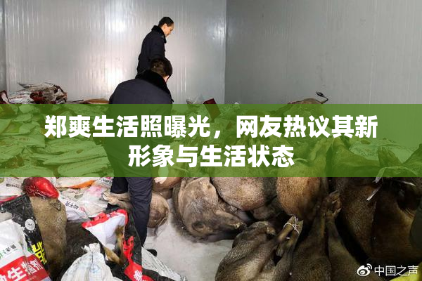 郑爽生活照曝光，网友热议其新形象与生活状态