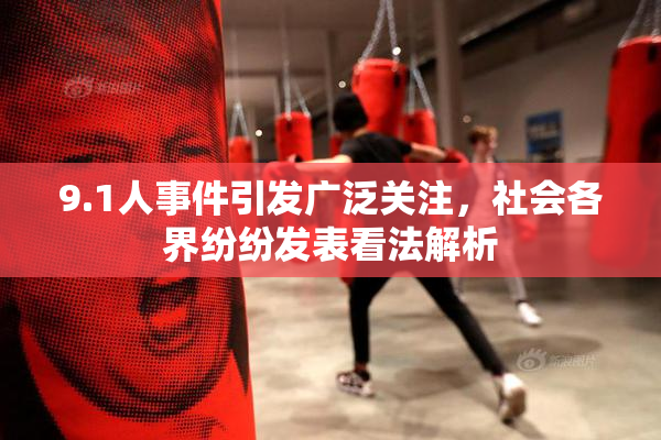 9.1人事件引发广泛关注，社会各界纷纷发表看法解析