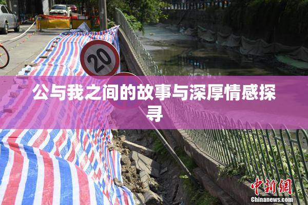公与我之间的故事与深厚情感探寻