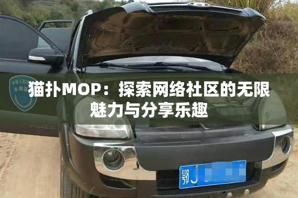 猫扑MOP：探索网络社区的无限魅力与分享乐趣