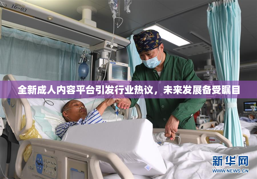全新成人内容平台引发行业热议，未来发展备受瞩目