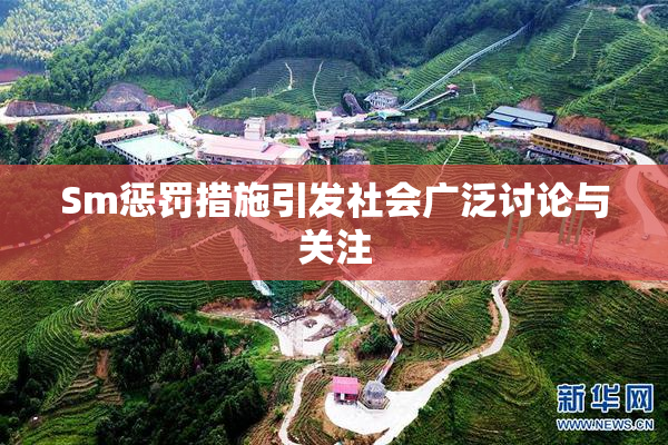 Sm惩罚措施引发社会广泛讨论与关注