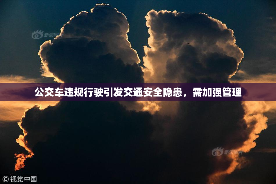 公交车违规行驶引发交通安全隐患，需加强管理