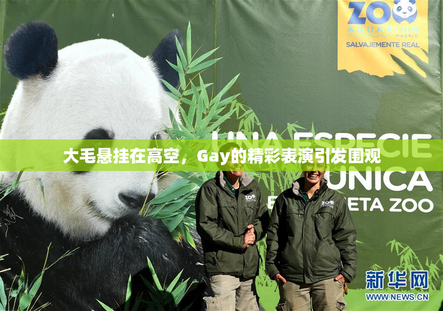 大毛悬挂在高空，Gay的精彩表演引发围观