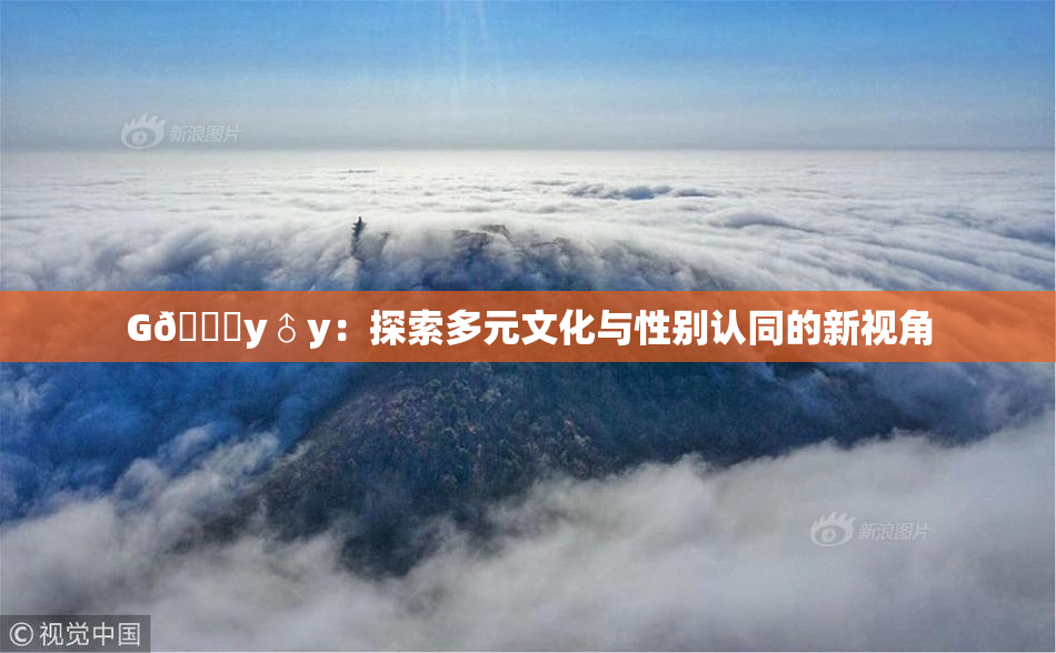 G🈚y♂y：探索多元文化与性别认同的新视角