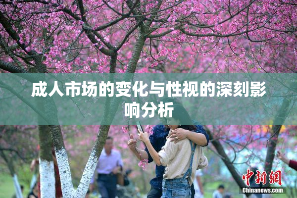 成人市场的变化与性视的深刻影响分析