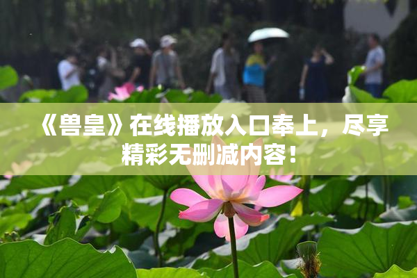 《兽皇》在线播放入口奉上，尽享精彩无删减内容！