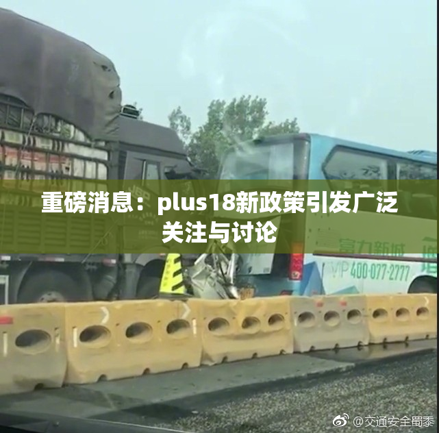 重磅消息：plus18新政策引发广泛关注与讨论