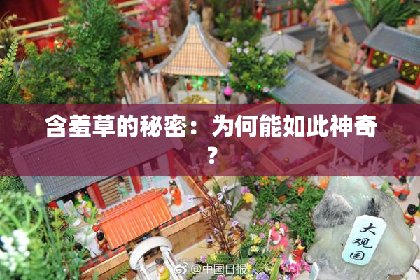 含羞草的秘密：为何能如此神奇？
