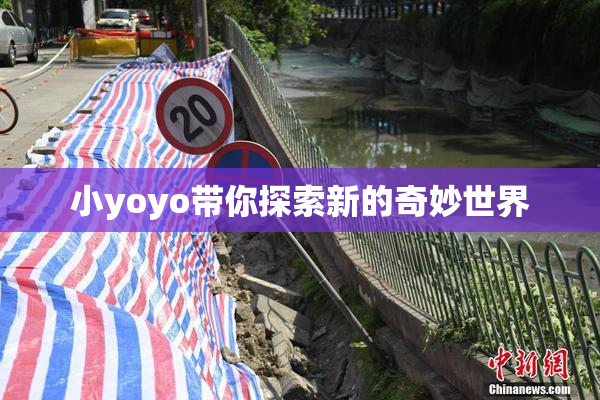 小yoyo带你探索新的奇妙世界
