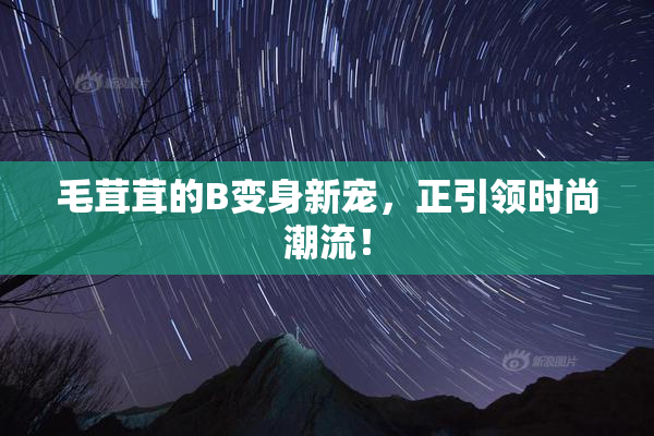 毛茸茸的B变身新宠，正引领时尚潮流！