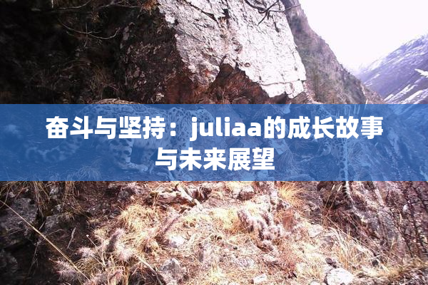 奋斗与坚持：juliaa的成长故事与未来展望