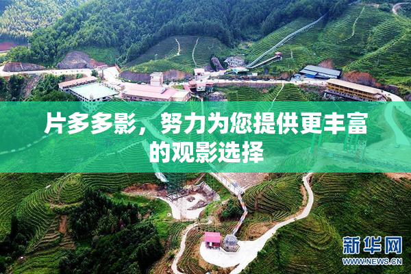 片多多影，努力为您提供更丰富的观影选择
