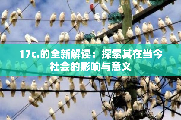 17c.的全新解读：探索其在当今社会的影响与意义