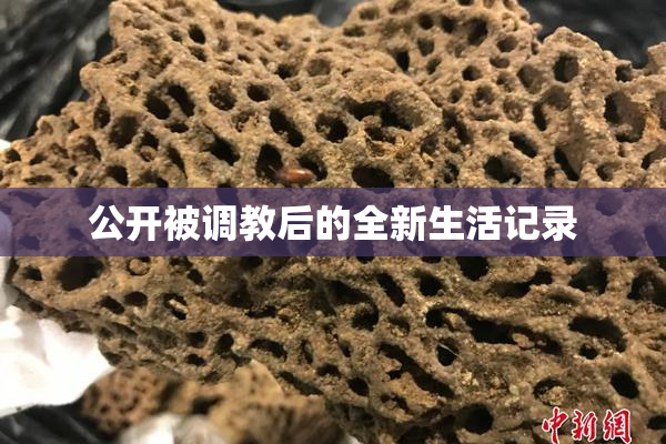 公开被调教后的全新生活记录