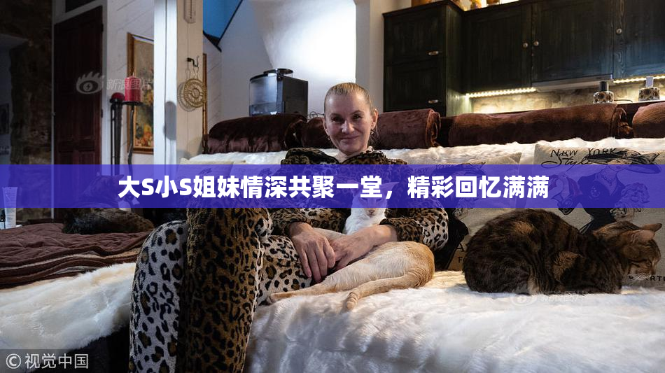 大S小S姐妹情深共聚一堂，精彩回忆满满