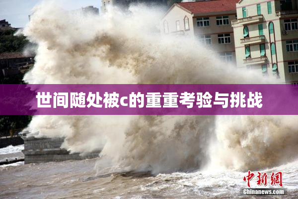 世间随处被c的重重考验与挑战