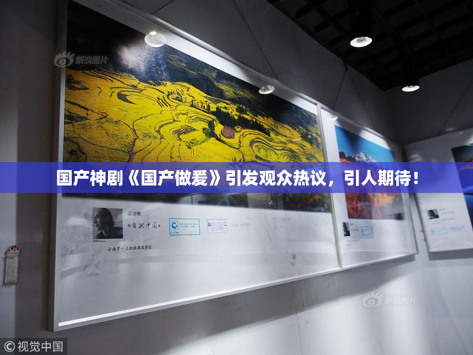 国产神剧《国产做爰》引发观众热议，引人期待！