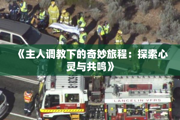 《主人调教下的奇妙旅程：探索心灵与共鸣》