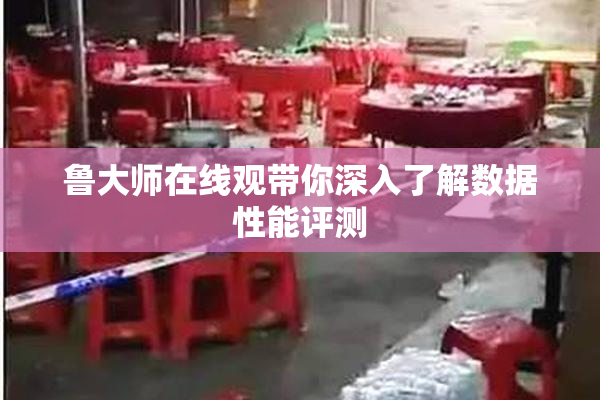 鲁大师在线观带你深入了解数据性能评测