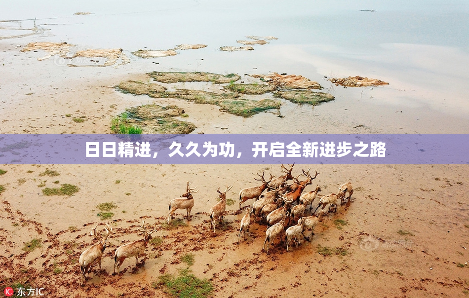 日日精进，久久为功，开启全新进步之路