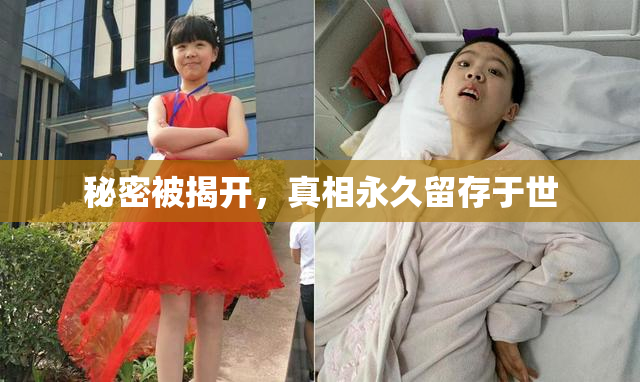 秘密被揭开，真相永久留存于世