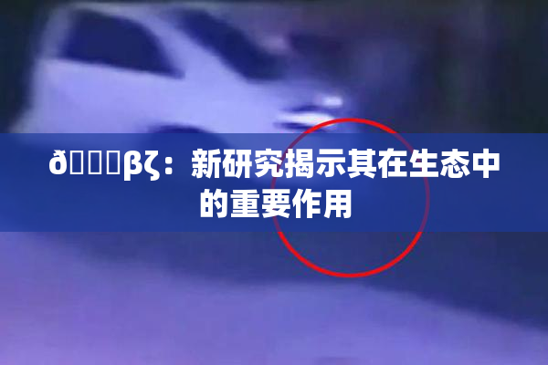 👙βζ：新研究揭示其在生态中的重要作用