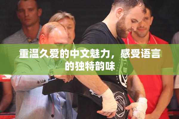 重温久爱的中文魅力，感受语言的独特韵味