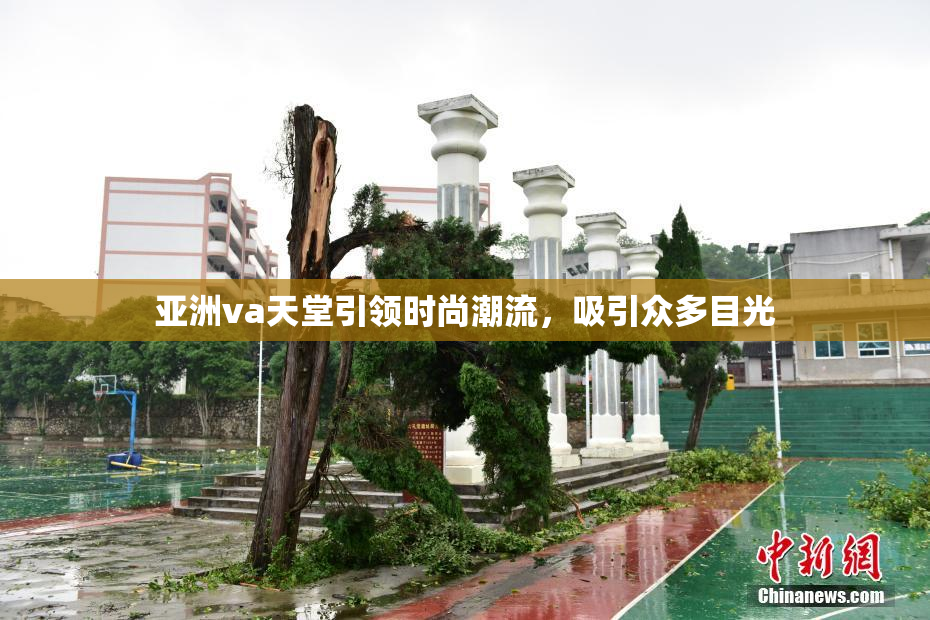 亚洲va天堂引领时尚潮流，吸引众多目光