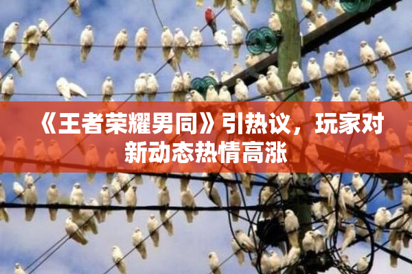 《王者荣耀男同》引热议，玩家对新动态热情高涨