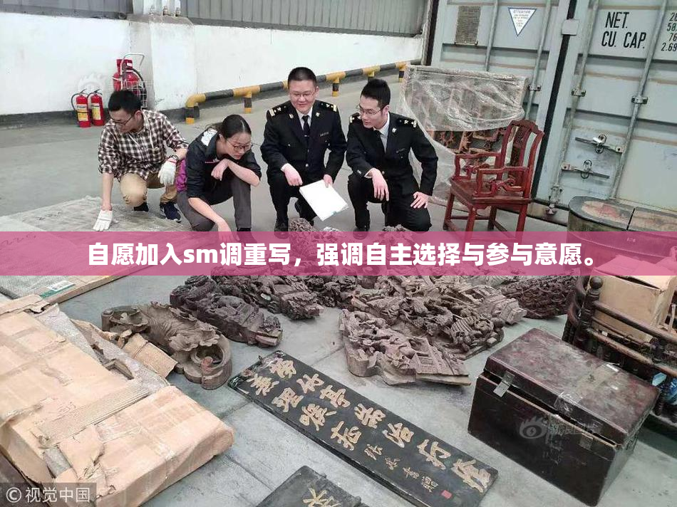 自愿加入sm调重写，强调自主选择与参与意愿。
