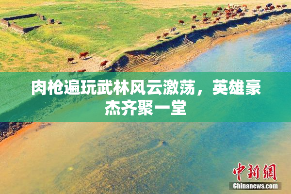 肉枪遍玩武林风云激荡，英雄豪杰齐聚一堂
