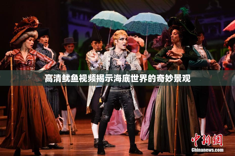 高清鱿鱼视频揭示海底世界的奇妙景观