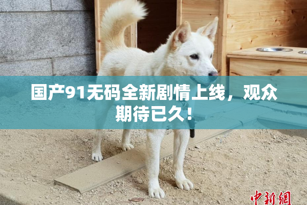 国产91无码全新剧情上线，观众期待已久！