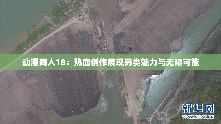 动漫同人18：热血创作展现另类魅力与无限可能