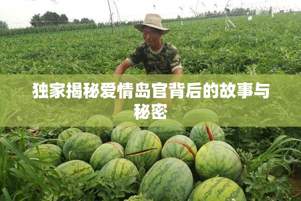 独家揭秘爱情岛官背后的故事与秘密