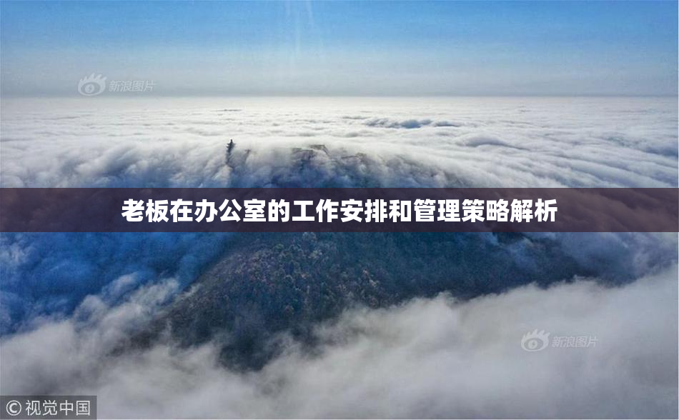 老板在办公室的工作安排和管理策略解析