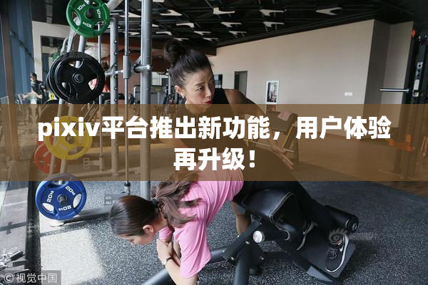 pixiv平台推出新功能，用户体验再升级！