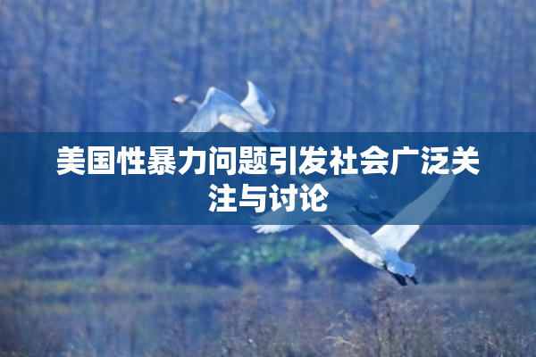 美国性暴力问题引发社会广泛关注与讨论