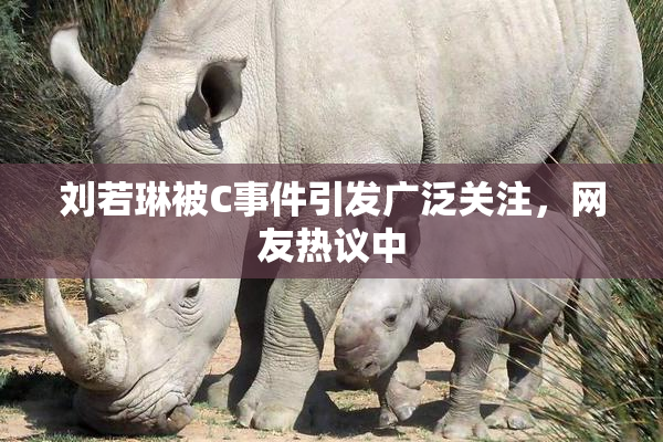 刘若琳被C事件引发广泛关注，网友热议中